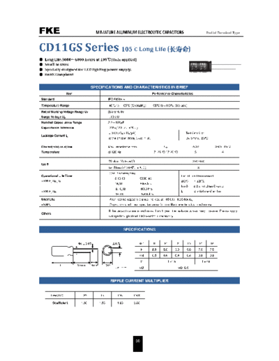 FKE [radial thru-hole] CD11GS Series