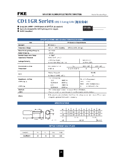 FKE [radial thru-hole] CD11GR Series