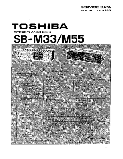 hfe_toshiba_sb-m33_m55_service_en