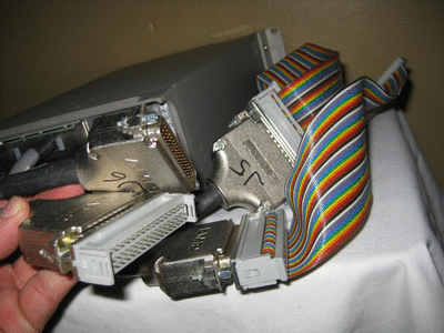 brannontest86061