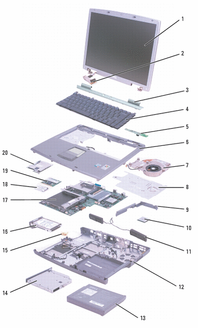 systema