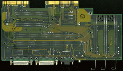 Lisa_MB_bot