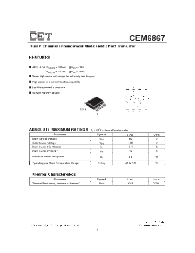 cem6867