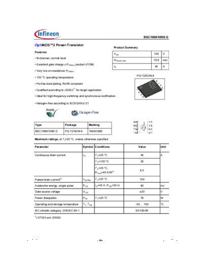 bsc196n10nsrev1.07