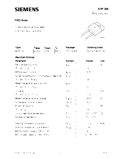 byp300