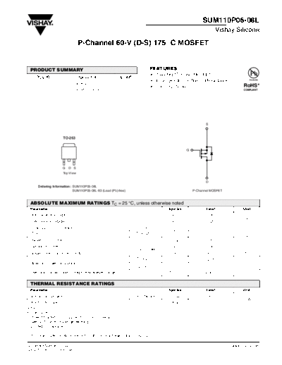 sum110p06-08l