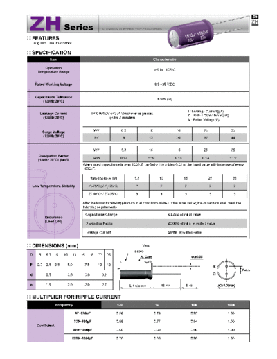 Evercon [radial thru-hole] ZH Series