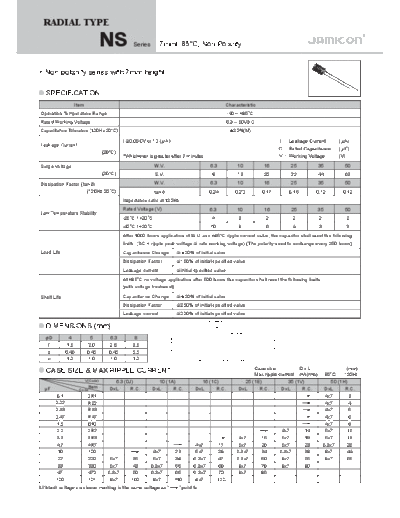 Jamicon [non-polar thru-hole] NS Series