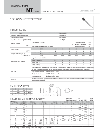 Jamicon [non-polar thru-hole] NT Series