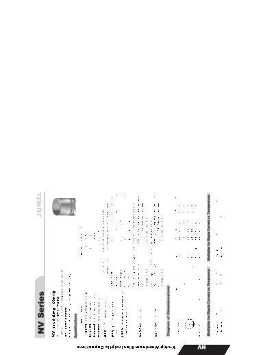 Junzl [smd non-polar] NV Series