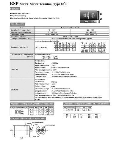 Micon [screw] RSP series