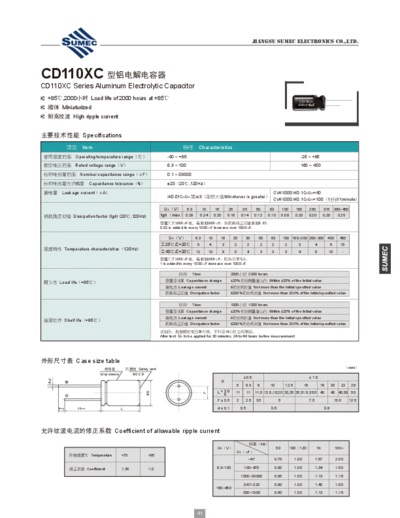 Sumec [radial thru-hole] RG (CD110XC) Series