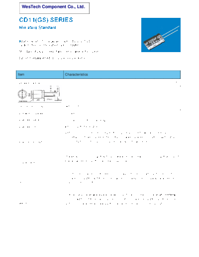 WT [radial thru-hole] GS Series