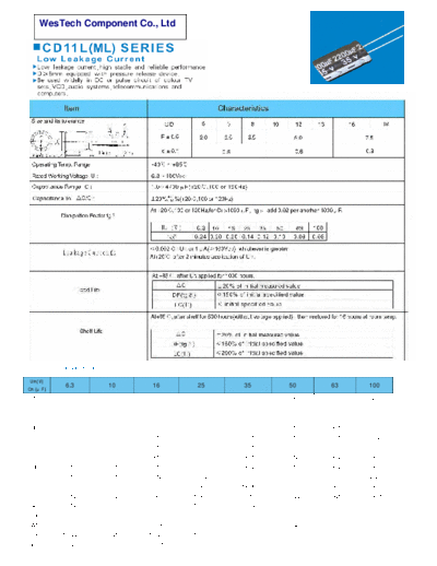 WT [radial thru-hole] ML Series