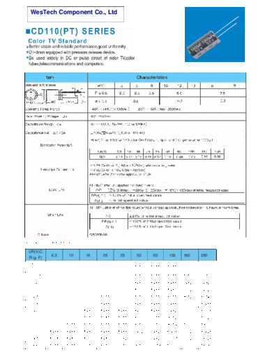 WT [radial thru-hole] PT Series