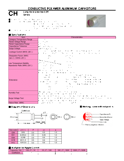 Teapo [polymer thru-hole] CH Series