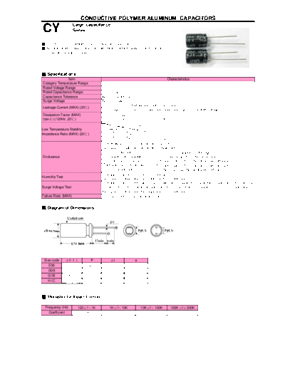 Teapo [polymer thru-hole] CY Series