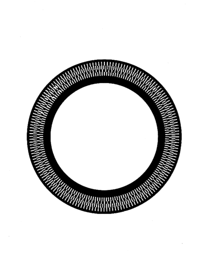 ve_dual_1229_strobe