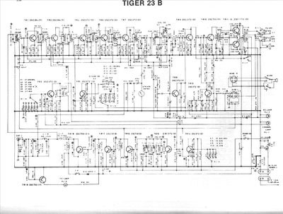 TIGER 23B