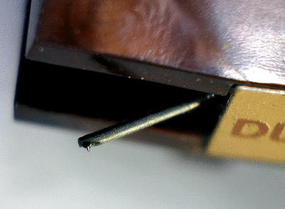DL207d