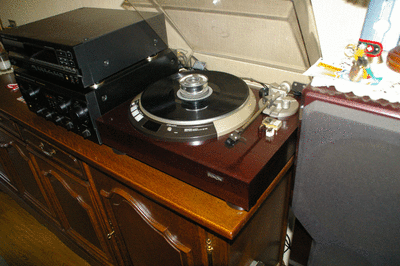 IMGP2632