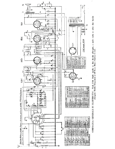 CGE 3536