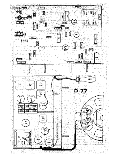 d 77