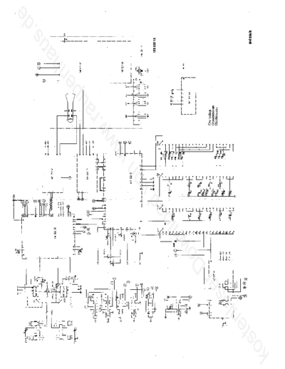 BM556