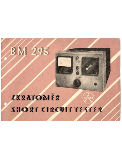 BM295