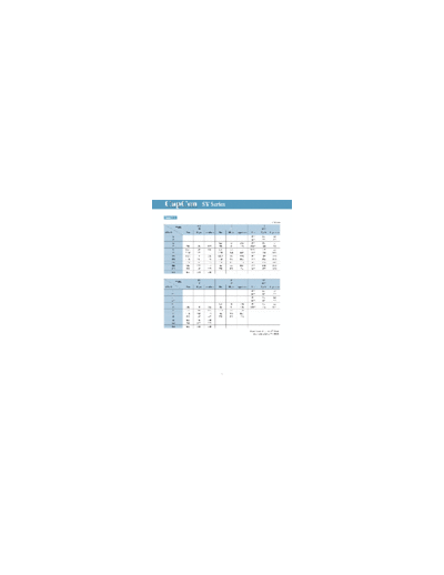 CapCon [radial thru-hole] SY Series partial