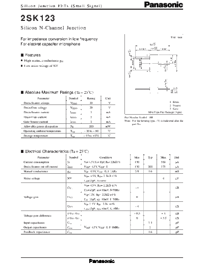 2sk123