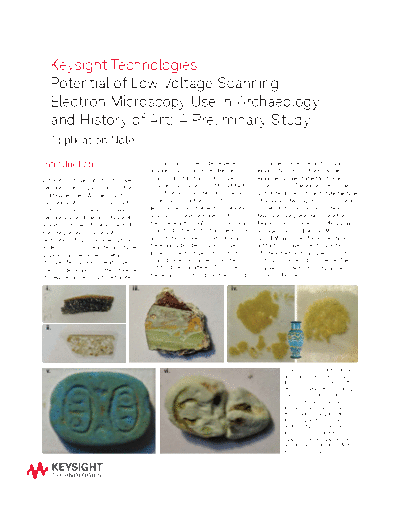 Potential of Low Voltage Scanning Electron Microscopy Use in Archaeology and History of Art 5991-1512EN c20141027 [8]
