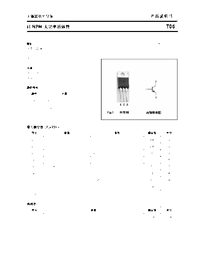t06