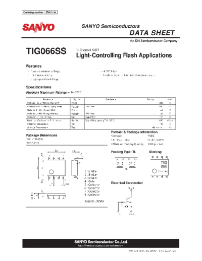 tig066ss