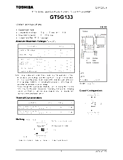 gt5g133_100115
