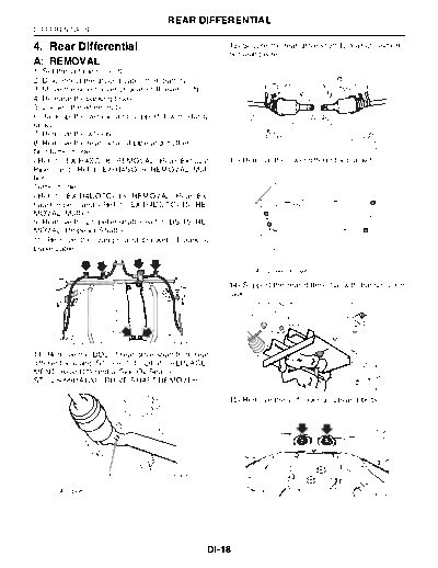 Rear Differential