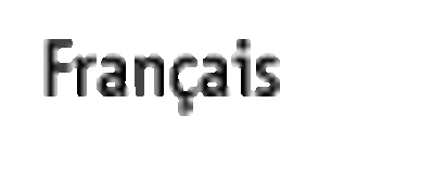 selectlanguage_12