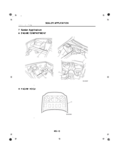 07. Sealer Application