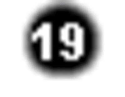 a19