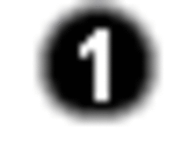 a1