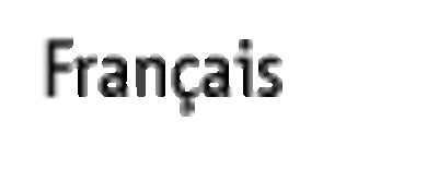 selectlanguage_08