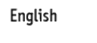 selectlanguage_09