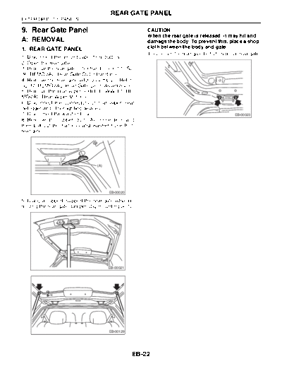 09. Rear Gate Panel