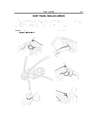 bodypane