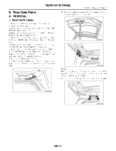 Rear Gate Panel