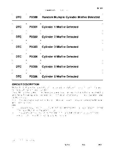 cip0300p