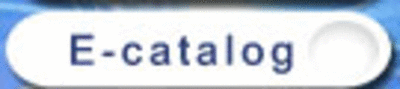 company_21_1-e