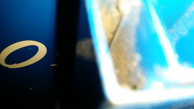 20161015_113849