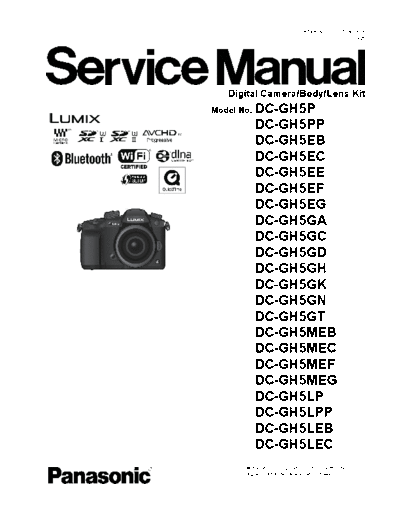 Panasonic_DSC1703003CE_DC-GH5_series_[X]