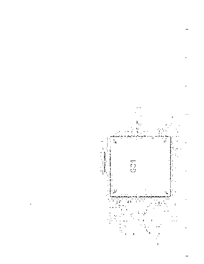 s_dg3